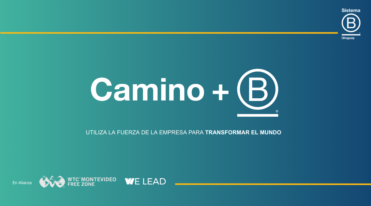 Camino + B - EDICIÓN SETIEMBRE 2024